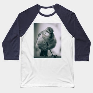 Grumpy Bird Photograph Baseball T-Shirt